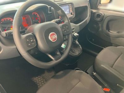 Fiat Panda Vorführwagen