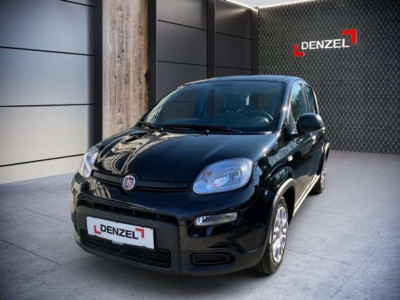 Fiat Panda Vorführwagen