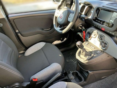 Fiat Panda Vorführwagen