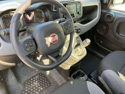 Fiat Panda Vorführwagen