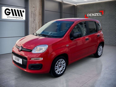 Fiat Panda Gebrauchtwagen