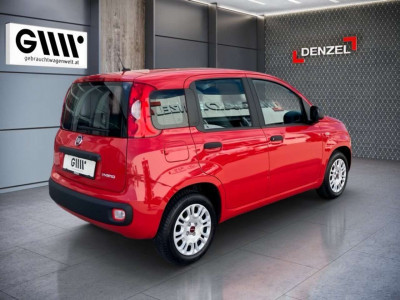 Fiat Panda Gebrauchtwagen