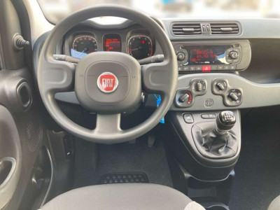 Fiat Panda Gebrauchtwagen