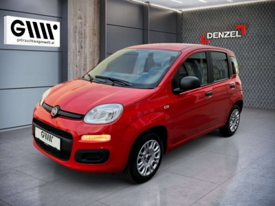 Fiat Panda Gebrauchtwagen