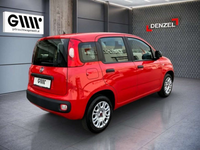 Fiat Panda Gebrauchtwagen