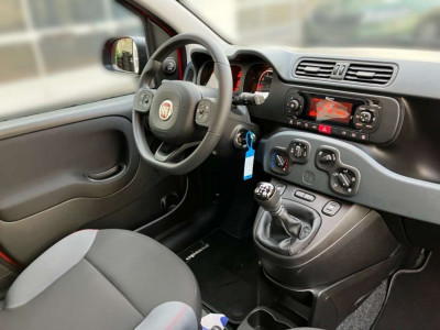 Fiat Panda Gebrauchtwagen