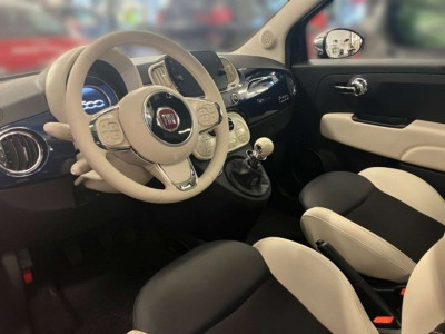 Fiat 500 Gebrauchtwagen