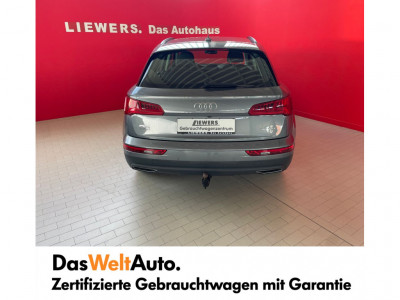 Audi Q5 Gebrauchtwagen