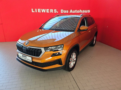 Skoda Karoq Gebrauchtwagen