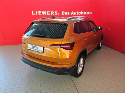 Skoda Karoq Gebrauchtwagen