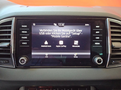 Skoda Karoq Gebrauchtwagen