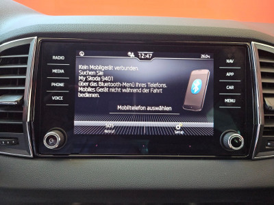 Skoda Karoq Gebrauchtwagen