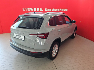 Skoda Karoq Gebrauchtwagen