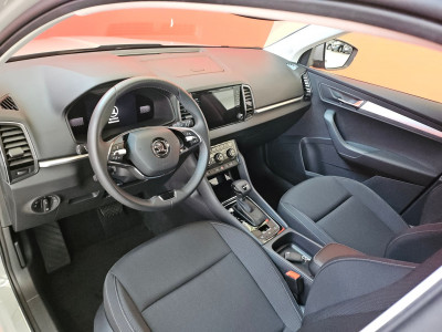 Skoda Karoq Gebrauchtwagen