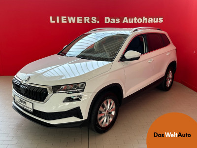 Skoda Karoq Gebrauchtwagen