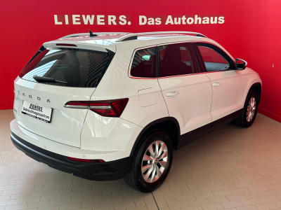 Skoda Karoq Gebrauchtwagen
