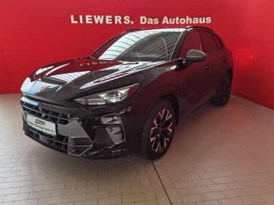 Cupra Terramar Gebrauchtwagen