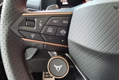 Cupra Terramar Gebrauchtwagen