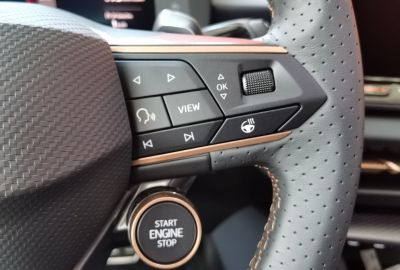 Cupra Terramar Gebrauchtwagen