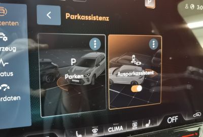 Cupra Terramar Gebrauchtwagen