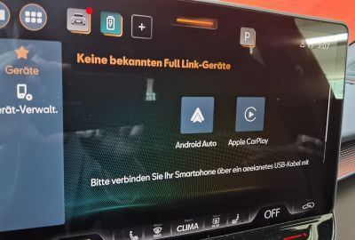 Cupra Terramar Gebrauchtwagen