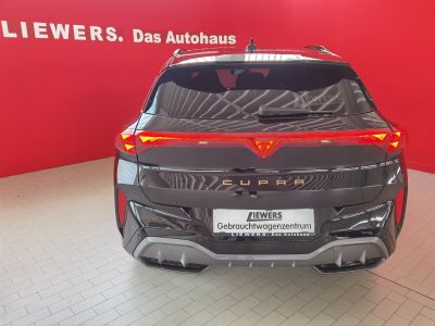 Cupra Terramar Gebrauchtwagen