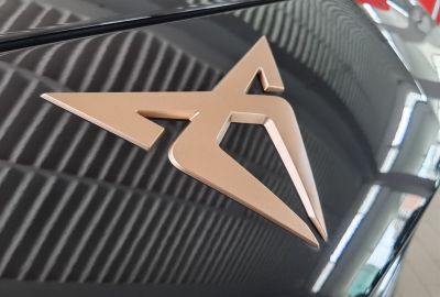 Cupra Terramar Gebrauchtwagen