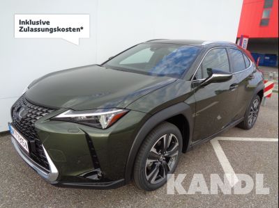 Lexus UX Gebrauchtwagen