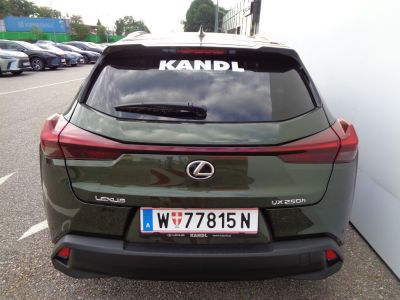 Lexus UX Gebrauchtwagen