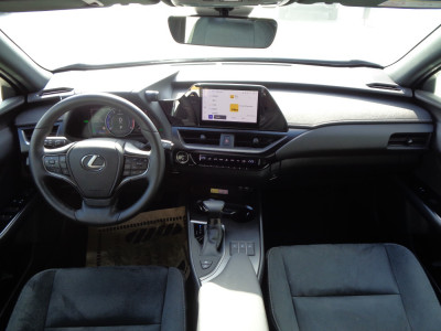 Lexus UX Gebrauchtwagen