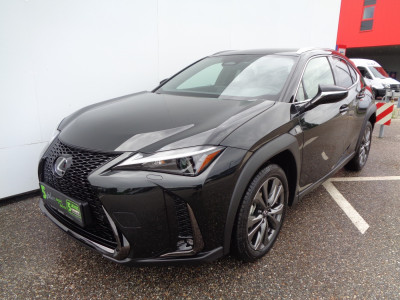 Lexus UX Vorführwagen