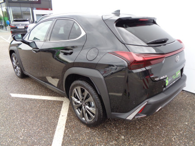 Lexus UX Vorführwagen