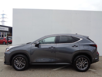 Lexus NX Neuwagen