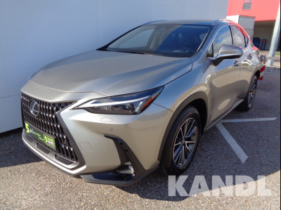 Lexus NX Neuwagen