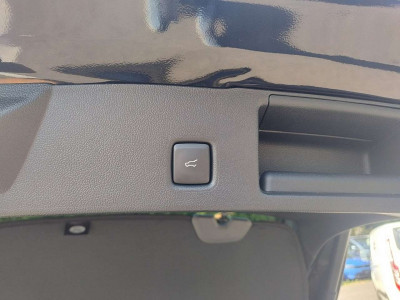 Ford Kuga Vorführwagen