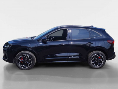 Ford Kuga Vorführwagen