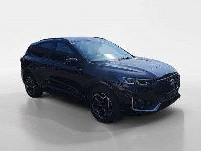 Ford Kuga Vorführwagen