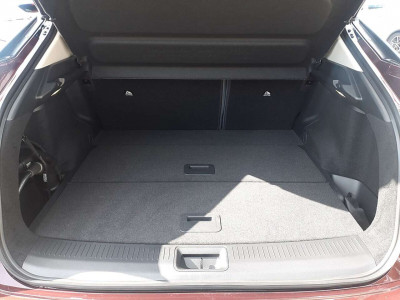 Nissan Ariya Gebrauchtwagen