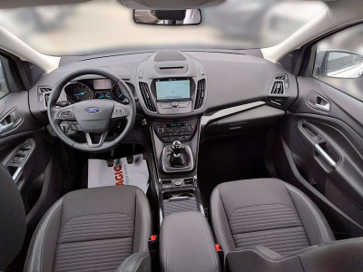 Ford Kuga Gebrauchtwagen