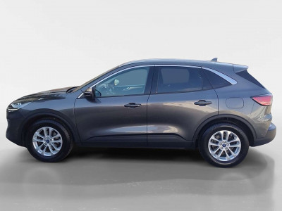 Ford Kuga Gebrauchtwagen Ford Kuga Gebrauchtwagen