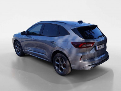 Ford Kuga Vorführwagen Ford Kuga Vorführwagen