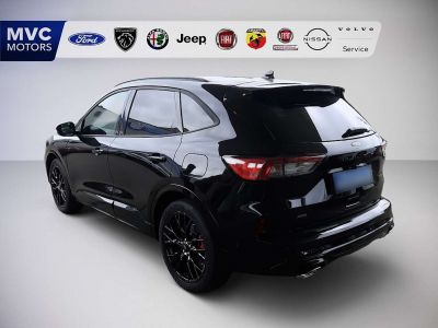 Ford Kuga Vorführwagen