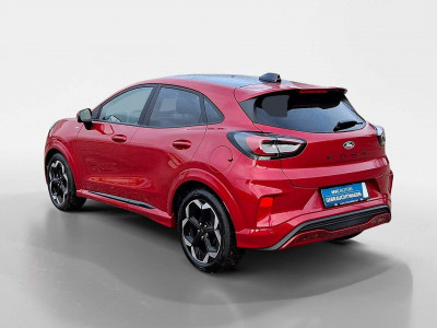 Ford Puma Gebrauchtwagen Ford Puma Gebrauchtwagen