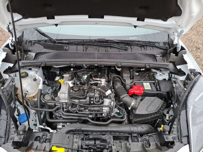 Ford Puma Vorführwagen Ford Puma Vorführwagen