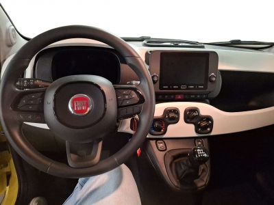 Fiat Panda Neuwagen