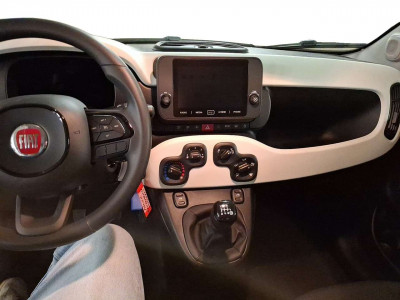 Fiat Panda Neuwagen