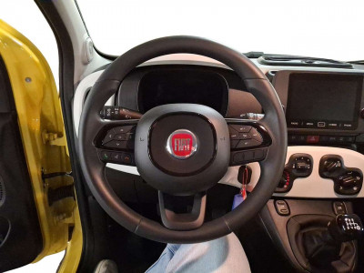 Fiat Panda Neuwagen