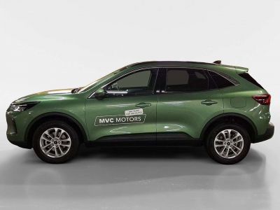 Ford Kuga Vorführwagen