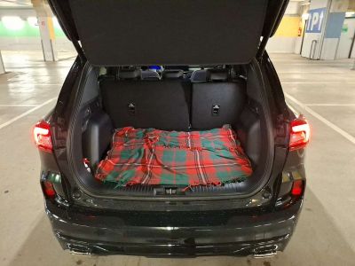 Ford Kuga Vorführwagen