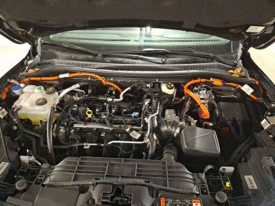 Ford Kuga Vorführwagen